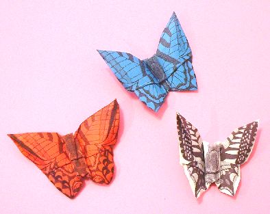 Origami Butterfly by Pasquale d'Auria. Folded by Gilad Aharoni on giladorigami.com