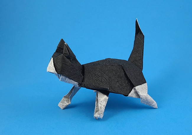 Origami Cat by David Brill folded by Gilad Aharoni