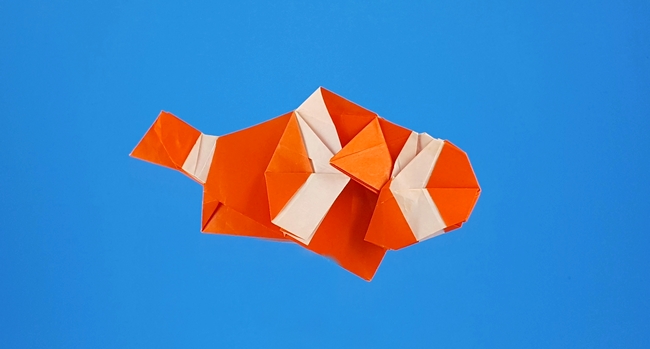 Origami Clown anemonefish by Morisawa Aoto. Folded from a square of origami paper by Gilad Aharoni on giladorigami.com