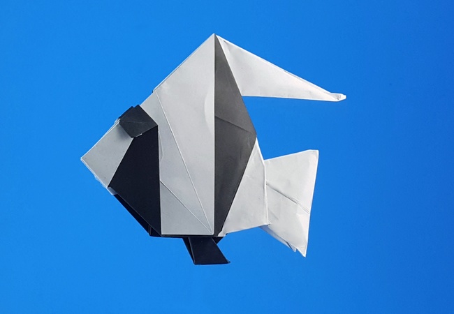 Origami Pennant coralfish by Ikuno Riku. Folded from a square of origami paper by Gilad Aharoni on giladorigami.com
