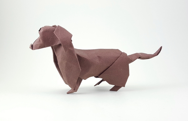 Origami Dachshund by David Brill. Wet folded from a square of Canson art paper by Gilad Aharoni on giladorigami.com