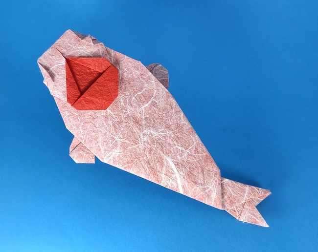 Origami Koi by Ryo Aoki folded by Gilad Aharoni