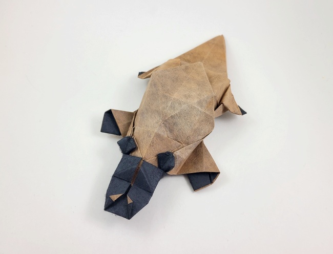 Origami Platypus by Mitsuda Shigeru. Folded from a square of Shadow Thai origami paper by Gilad Aharoni on giladorigami.com