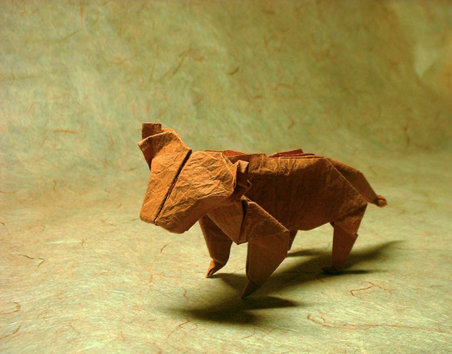 Origami Tiger by John Montroll folded by Gilad Aharoni