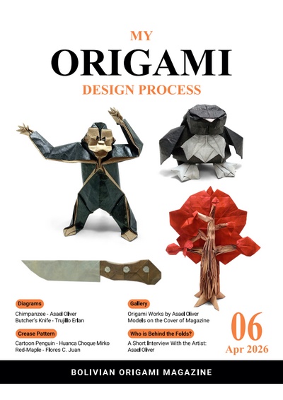 My Origami Design Process 6 book cover
