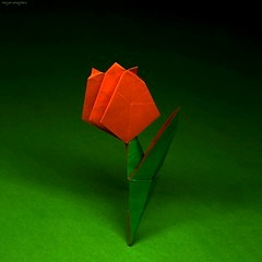 Origami Tulip by Jeong Jae Il on giladorigami.com