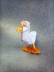 Origami Seagull by Sebastien Limet (Sebl) on giladorigami.com