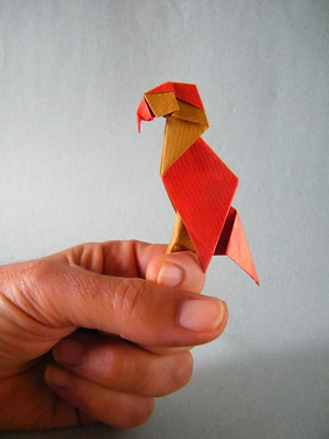 Origami Brazilian ara by Adriano Mariani on giladorigami.com