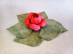 Origami Camellia by Yara Yagi on giladorigami.com