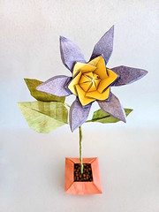 Origami Clematis by Yara Yagi on giladorigami.com