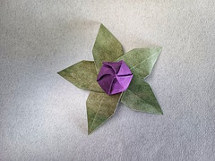 Origami Quince bud by Yara Yagi on giladorigami.com