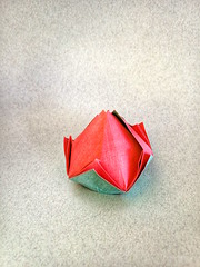 Origami Rose bud by Yara Yagi on giladorigami.com