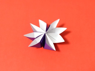 Origami Catamaran flower by Nonaka Yoko on giladorigami.com