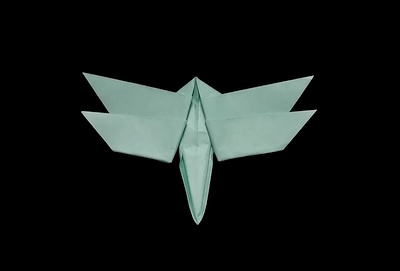 Origami Dragonfly by Ishibashi Minako on giladorigami.com