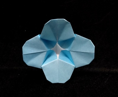 Origami Forget-me-not by Kawate Ayako on giladorigami.com