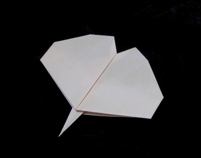 Origami Maidenhair tree leaf by Niwa Taiko on giladorigami.com