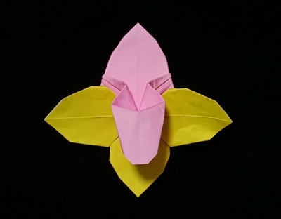 Origami Paphiopedilum by Hsi-Min Tai on giladorigami.com