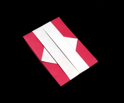 Origami Rouge case by Traditional on giladorigami.com