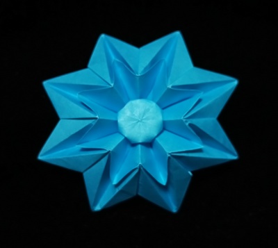 Origami Star anise by Dasa Severova on giladorigami.com