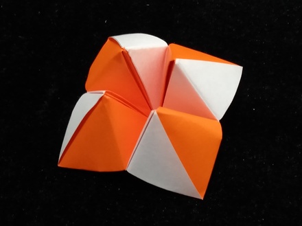 Origami Bi-color cootie catcher by Russell Cashdollar on giladorigami.com