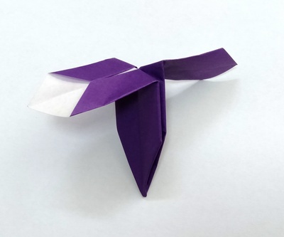 Origami Dragonfly by Eiko Ishii on giladorigami.com