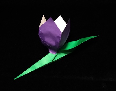 Origami Leaf and stem by Alice Gray on giladorigami.com