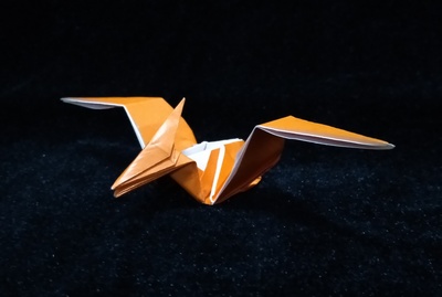 Origami Pteranodon by Sakurai Ryosuke on giladorigami.com